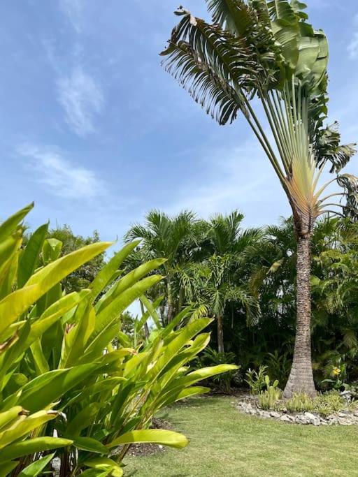 Villa Colada Residence Arcadia Saint-Francois  Bagian luar foto